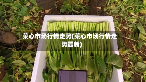 菜心市场行情走势(菜心市场行情走势最新)-第3张图片