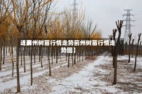近来
【蓟州树苗行情走势蓟州树苗行情走势图】-第2张图片