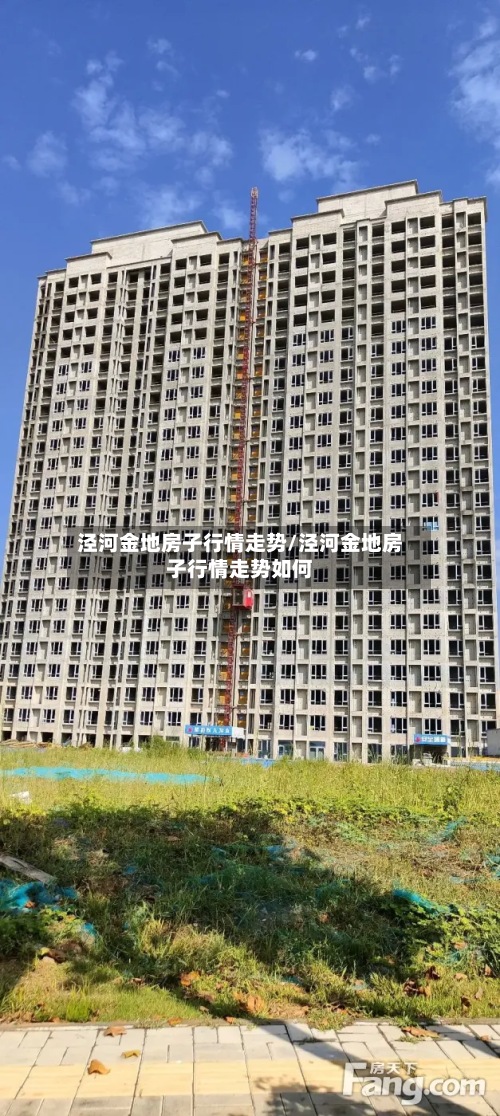 泾河金地房子行情走势/泾河金地房子行情走势如何