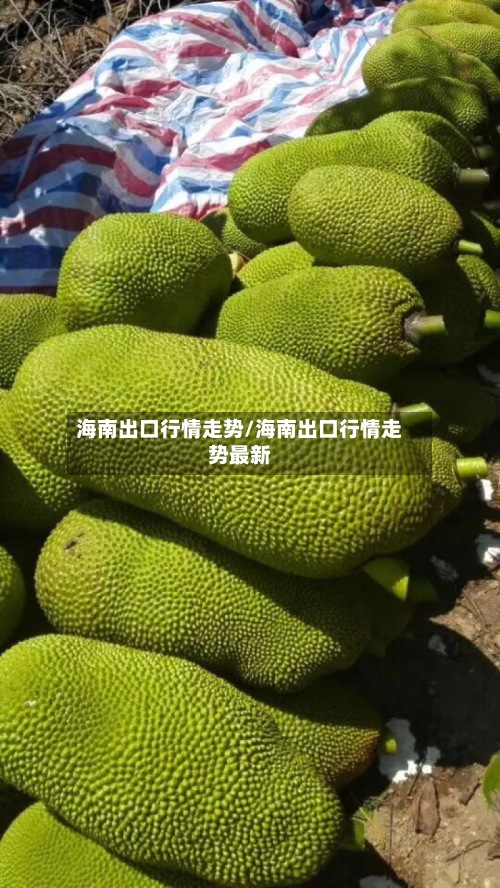海南出口行情走势/海南出口行情走势最新-第2张图片