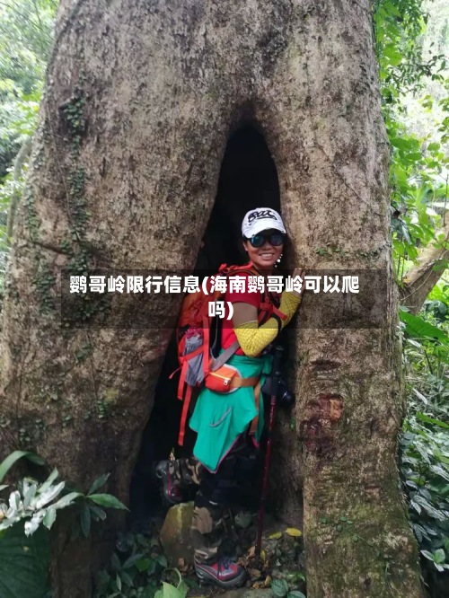鹦哥岭限行信息(海南鹦哥岭可以爬吗)