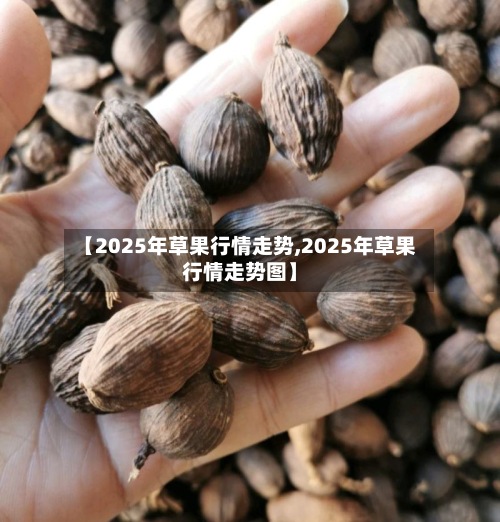 【2025年草果行情走势,2025年草果行情走势图】