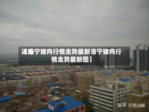 近来【洛宁猪肉行情走势最新洛宁猪肉行情走势最新图】