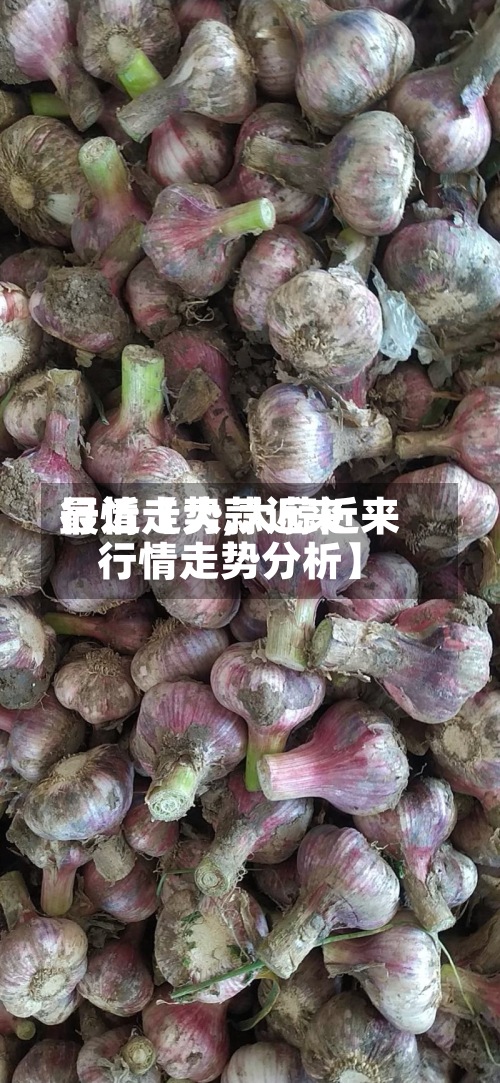 最近【大蒜近来行情走势,大蒜近来行情走势分析】