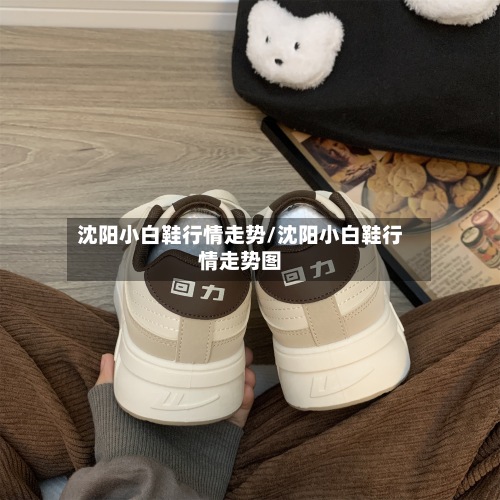 沈阳小白鞋行情走势/沈阳小白鞋行情走势图-第2张图片