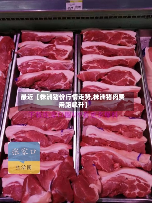 最近【株洲猪价行情走势,株洲猪肉费用一路飙升】-第3张图片