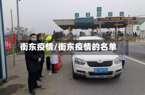 衡东疫情/衡东疫情的名单-第3张图片