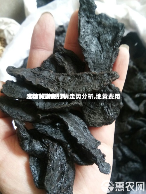 【地黄未来行情走势分析,地黄费用
2021最新费用
走势】