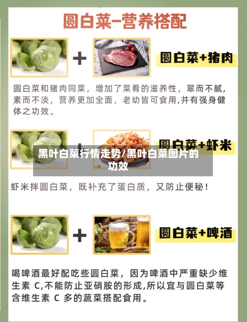 黑叶白菜行情走势/黑叶白菜图片的功效