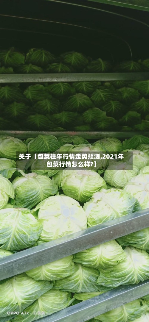 关于【包菜往年行情走势预测,2021年包菜行情怎么样?】-第2张图片