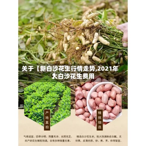 关于【新白沙花生行情走势,2021年大白沙花生费用
】-第2张图片