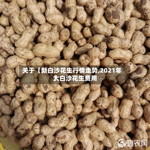 关于【新白沙花生行情走势,2021年大白沙花生费用
】
