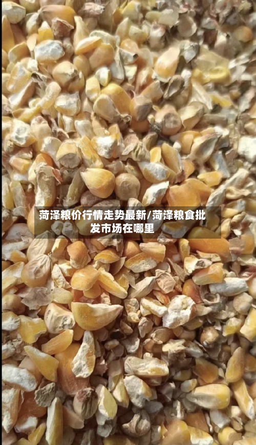 菏泽粮价行情走势最新/菏泽粮食批发市场在哪里