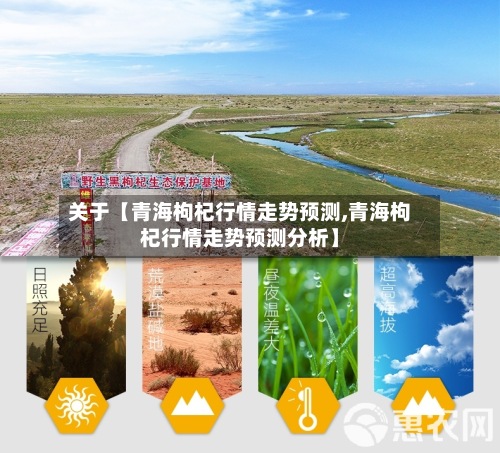 关于【青海枸杞行情走势预测,青海枸杞行情走势预测分析】