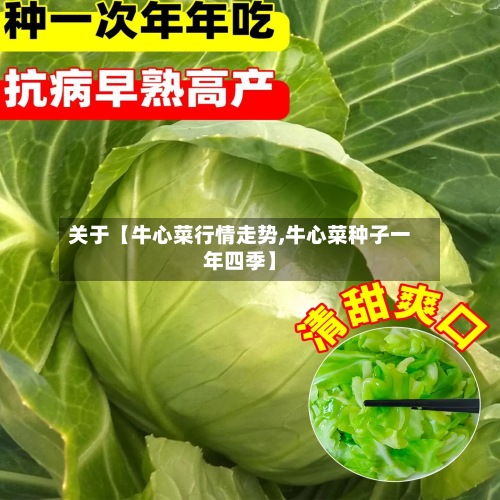 关于【牛心菜行情走势,牛心菜种子一年四季】