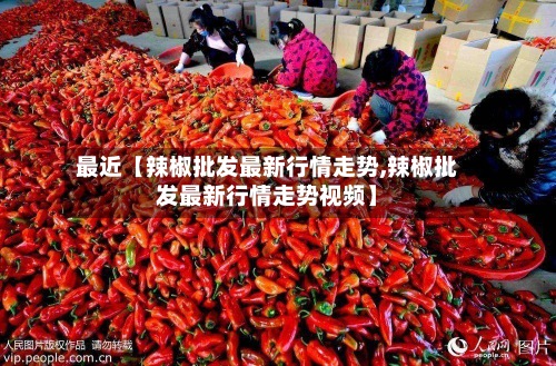 最近【辣椒批发最新行情走势,辣椒批发最新行情走势视频】-第3张图片