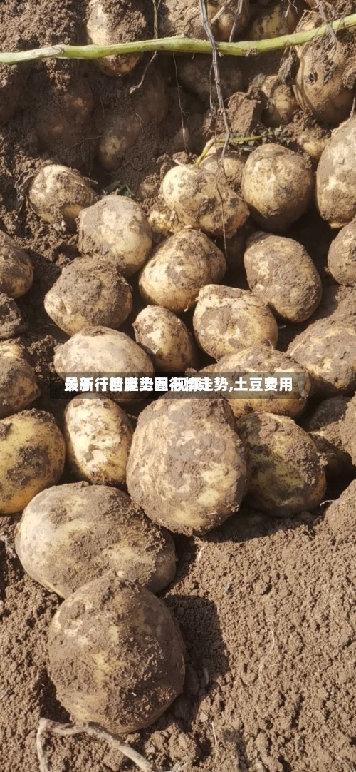 关于【四膜土豆行情走势,土豆费用
最新行情走势图 视频】