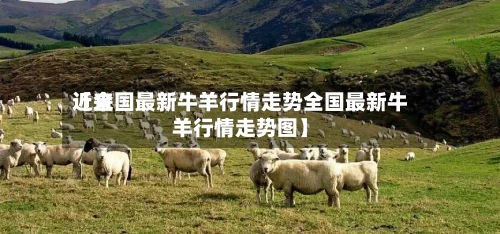 近来
【全国最新牛羊行情走势全国最新牛羊行情走势图】