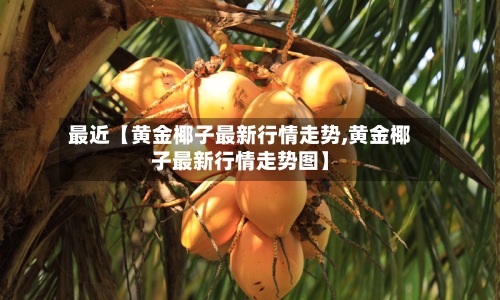 最近【黄金椰子最新行情走势,黄金椰子最新行情走势图】