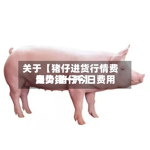 关于【猪仔进货行情费用
走势,猪仔今日费用
多少钱一斤】-第3张图片