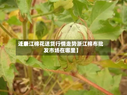 近来
【浙江棉花送货行情走势浙江棉布批发市场在哪里】-第2张图片