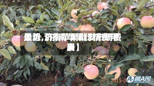 最近【济南苹果行情费用走势,济南苹果批发市场费用表】