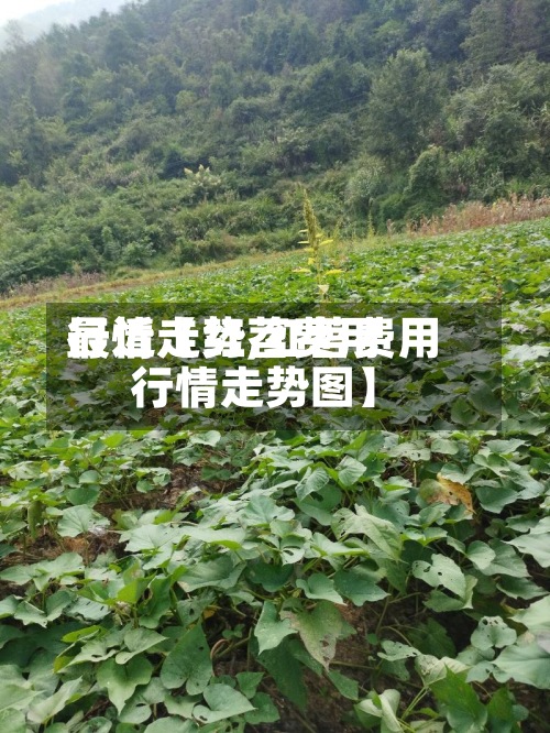 最近【红苕费用
行情走势,红苕费用
行情走势图】-第3张图片