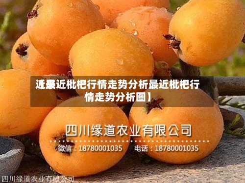 近来
【最近枇杷行情走势分析最近枇杷行情走势分析图】-第3张图片