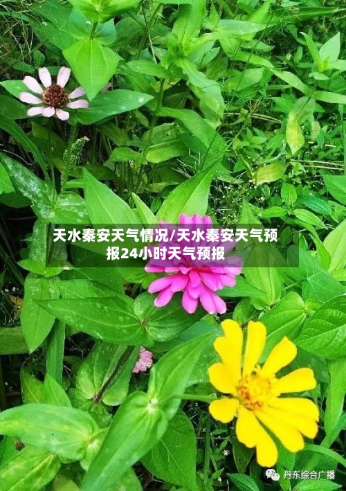 天水秦安天气情况/天水秦安天气预报24小时天气预报-第2张图片