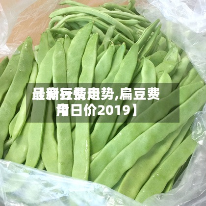 【扁豆费用最新行情走势,扁豆费用今日价2019】