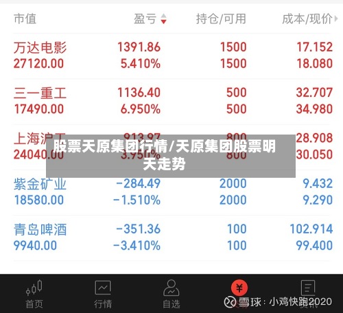 股票天原集团行情/天原集团股票明天走势-第2张图片