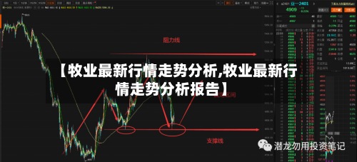 【牧业最新行情走势分析,牧业最新行情走势分析报告】-第2张图片