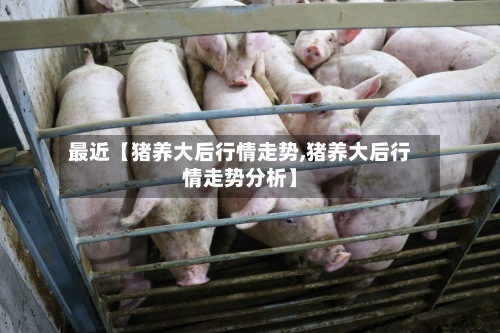 最近【猪养大后行情走势,猪养大后行情走势分析】-第3张图片