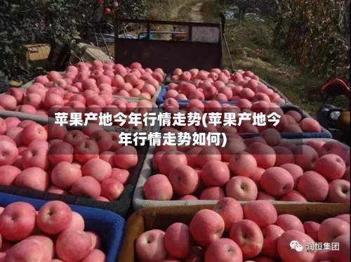 苹果产地今年行情走势(苹果产地今年行情走势如何)-第3张图片