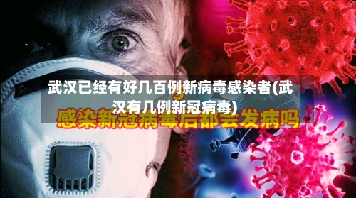 武汉已经有好几百例新病毒感染者(武汉有几例新冠病毒)-第2张图片