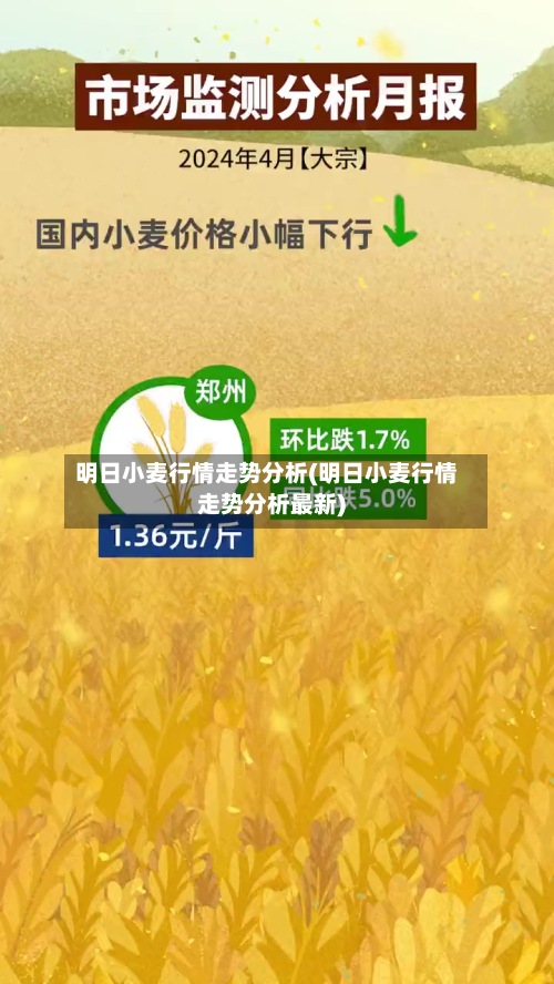 明日小麦行情走势分析(明日小麦行情走势分析最新)-第2张图片