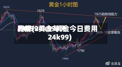 24k99黄金每天
费用
行情(24k99黄金今日费用
24k99)