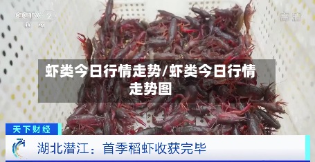 虾类今日行情走势/虾类今日行情走势图-第2张图片