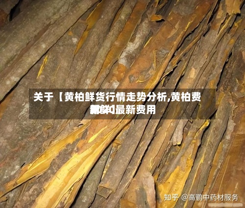 关于【黄柏鲜货行情走势分析,黄柏费用
2020最新费用
新鲜】-第2张图片