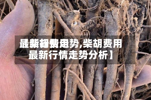【柴胡费用最新行情走势,柴胡费用最新行情走势分析】