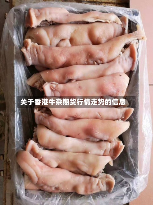 关于香港牛杂期货行情走势的信息-第2张图片