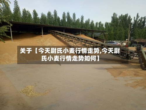 关于【今天尉氏小麦行情走势,今天尉氏小麦行情走势如何】