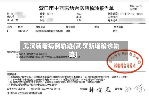 武汉新增病例轨迹(武汉新增确诊轨迹)