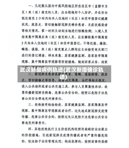 武汉新增病例轨迹(武汉新增确诊轨迹)-第2张图片