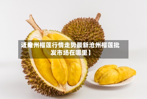 近来【沧州榴莲行情走势最新沧州榴莲批发市场在哪里】