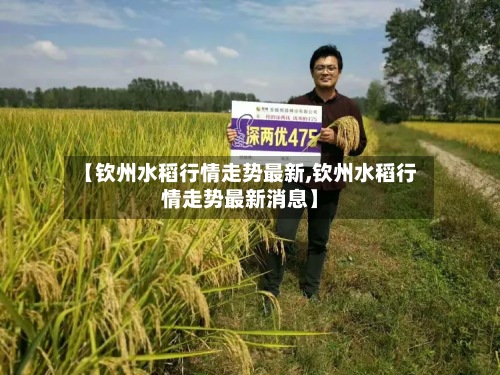 【钦州水稻行情走势最新,钦州水稻行情走势最新消息】