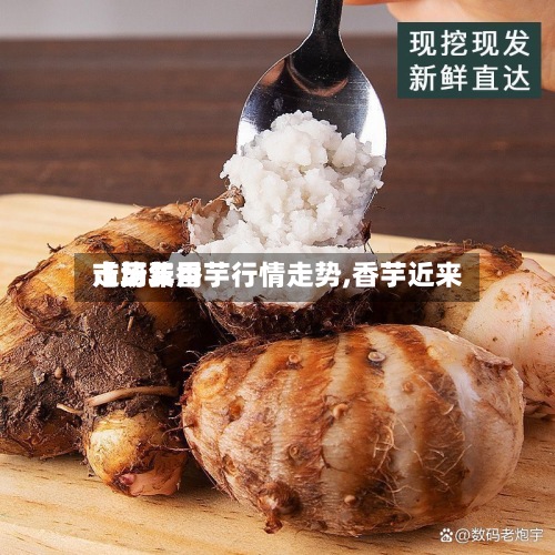 【历年香芋行情走势,香芋近来
市场费用
走势】-第2张图片