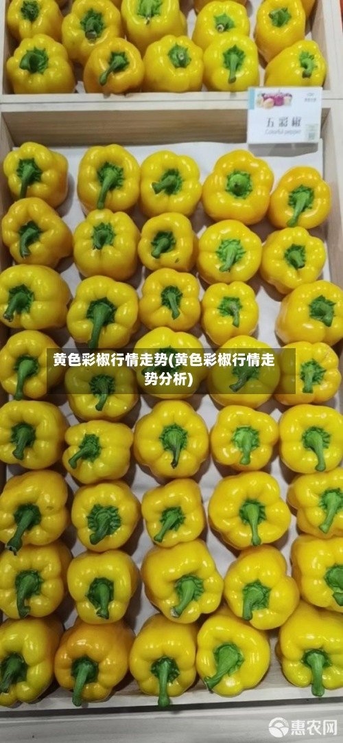 黄色彩椒行情走势(黄色彩椒行情走势分析)-第2张图片