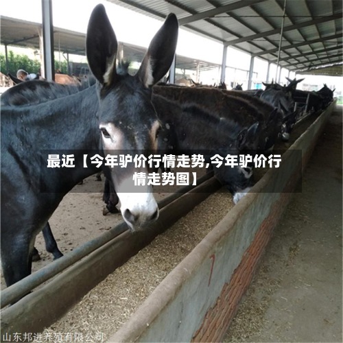 最近【今年驴价行情走势,今年驴价行情走势图】-第3张图片