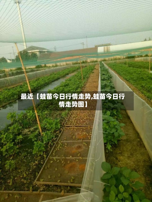 最近【蛙苗今日行情走势,蛙苗今日行情走势图】